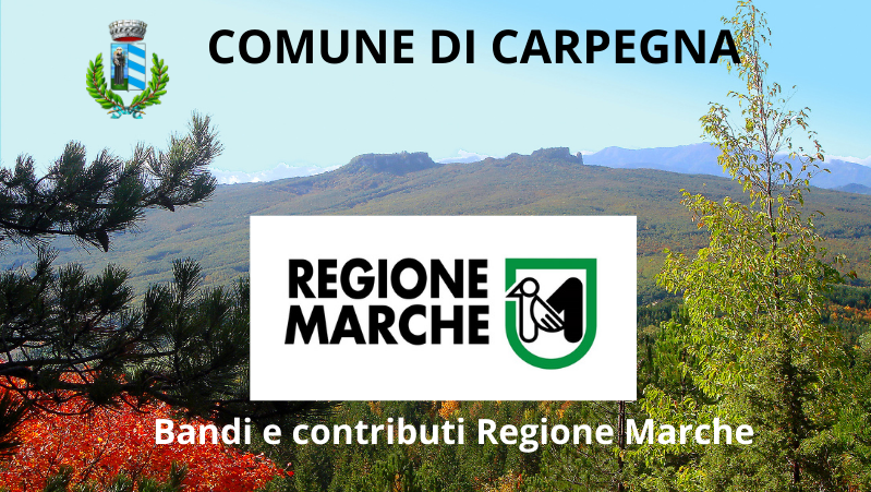 Bandi e contributi Regione Marche