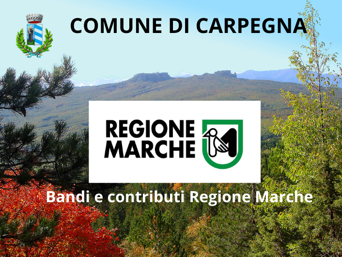 Bandi e contributi Regione Marche Bandi e contributi Regione Marche